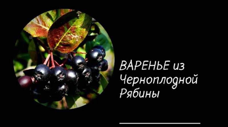 У Вас есть Черноплодная Рябина Варенье из Черноплодной Рябины