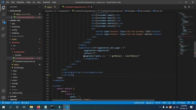 10.  vform and snotify use | Laravel Vue js Notification