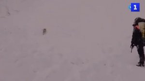 После схода снежной лавины в горах Сочи спасли шестерых лыжников