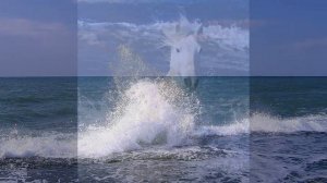 Ф.И.Тютчев  "Конь морской"...