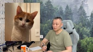 Котик Твикс