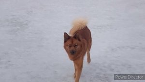 Рыбалка.Проверка новых мест.