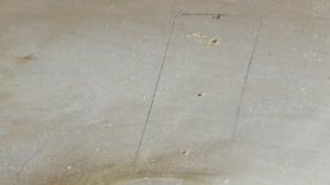 Пандус, трап, рампа для собак! Устройство по защите собак от травм лап и позвонков! Dog ramp! DIY