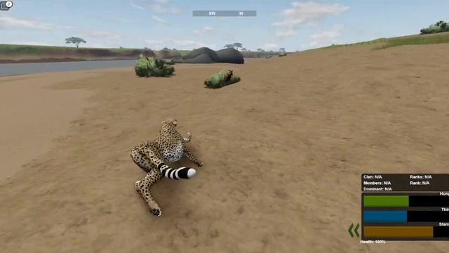 cheetah hunting topi [ wild savanna ] смотреть онлайн