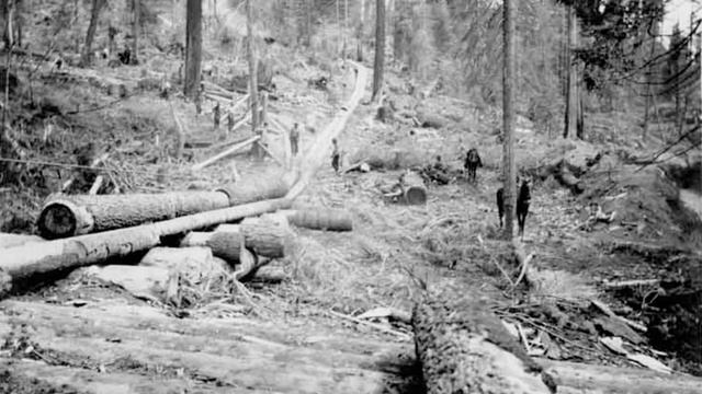 MCJ 115 MW: Steam Donkey | Jasmyne Robles смотреть онлайн