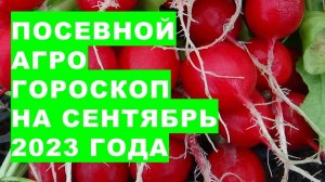 Посевной агрогороскоп на сентябрь 2023 года. Посівний агрогороскоп на вересень 2023 року