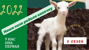 Наша коза родила козочку. Окот козы. Жизнь в деревне.