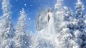 ,,Белая Метелица" исп. Вадим Казаченко