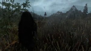 Vanilla ENB rain wetness test