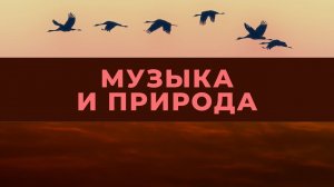 Расслабляющая музыка для сна (пианино). Спокойная приятная музыка.