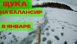Щука на балансир в глухозимье. Зимняя рыбалка 2021 г. Январская щука.