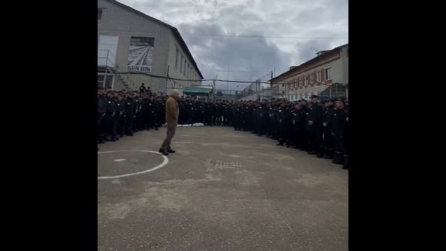 Реплика от В.В.П. от 03.10.22г.