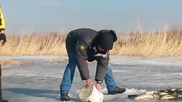 Ловим рыбу ведром #зимняярыбалка