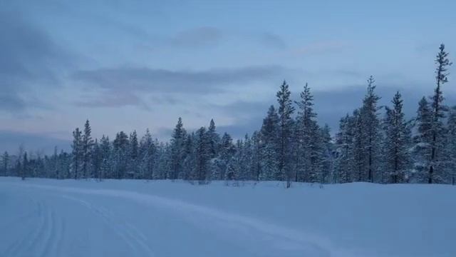 2021 Хаски Мурманск LOVOZERO смотреть онлайн