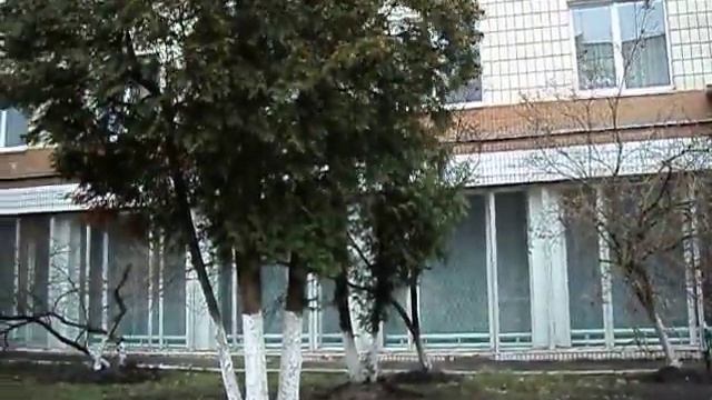 Sony DSC-S2000 смотреть онлайн