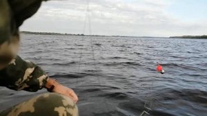 #рыбалка #Волга #лещь #рыбалканакольцослодки #рыбалканакольцо2020Рыбалка на кольцо на Леща 2020.