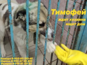 Тимофей в МП г.Перми