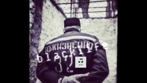 Гио ПиКа Фонтанчик с чёрным дельфином