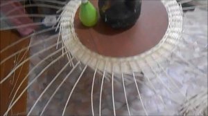Плетение из ивового прута ( из лозы ) , рамка для зеркала.