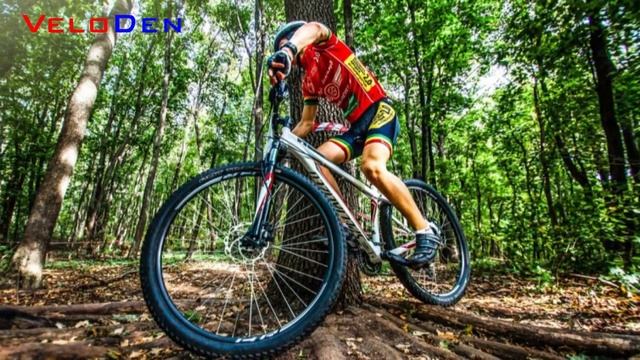 Как выбрать велосипед. Определяемся с типом велосипеда смотреть онлайн