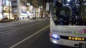 Стоит ли покупать электронику в Японии и везти ее в Россию?