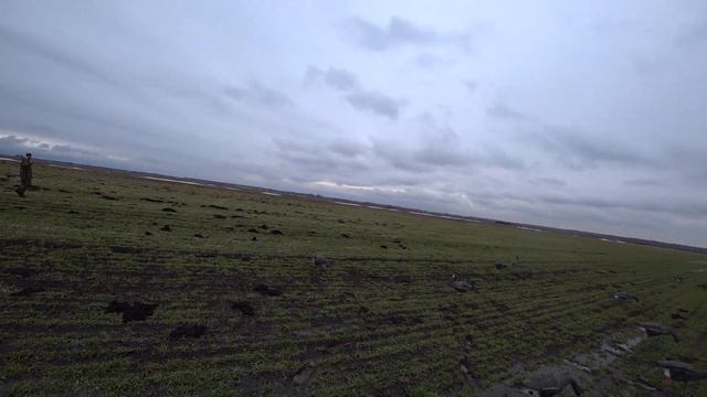 Открытие Охоты! Весенняя охота на гуся. смотреть онлайн