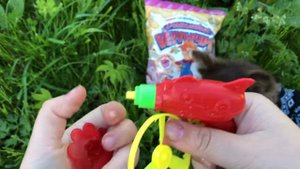 Распаковка кукурузных палочек «Счастливый Везунчик». Знакомство с Мироном 🐕