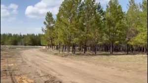 Оборвется струна