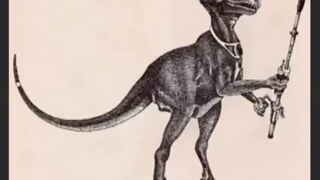 В водах Новой Зеландии выловили плезиозавра смотреть онлайн