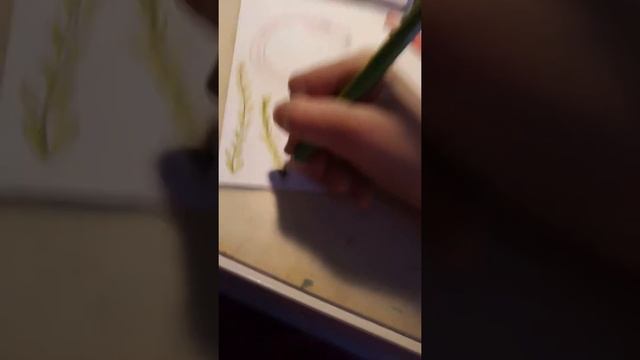 Как нарисовать фламинго /карандашами