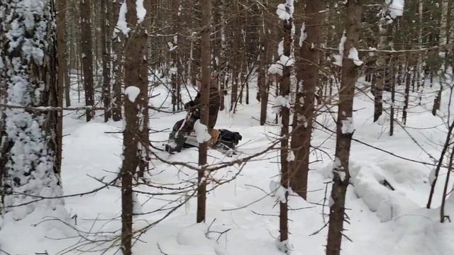 Передвижение по лесу на Ларвене смотреть онлайн