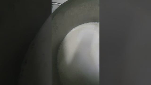 Итальянский сыр -Рикотта