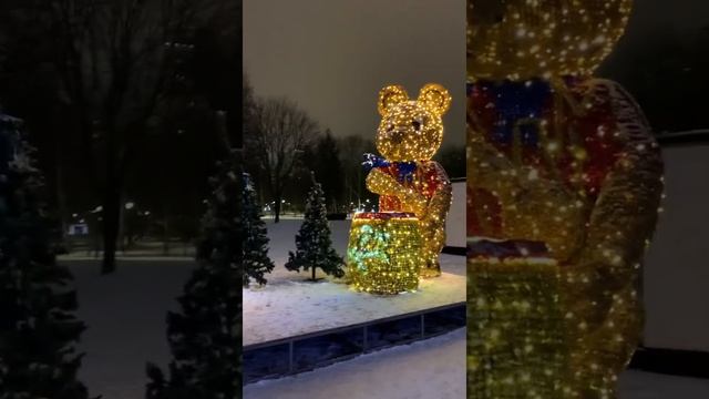 Зимняя красота в парке Святослава Фёдорова / winter beauty in the park of Svyatoslav Fedorov