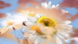 Красивая музыка Сергея Чекалина! Сборник Самых Невероятно Красивых и Нежных Мелодий, до глубины Душ