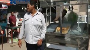 Пёстрый мир   Самостоятельные путешествия   Опасности