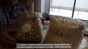Мицелий из не качественного зерна