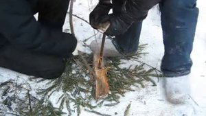 Как добыть огонь в лесу
