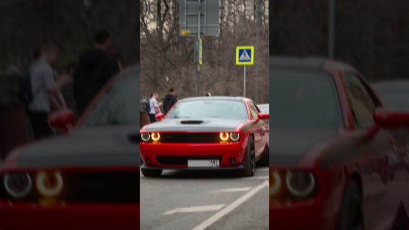 #уличныйфотографиосква #photography #film #cinematic #nikonz6ii #dodge #challenger #патриаршиепруды