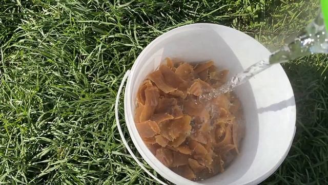 Эмульсия от тли, трипсов, белокрылки, паутинного клеща и др вредителей огорода