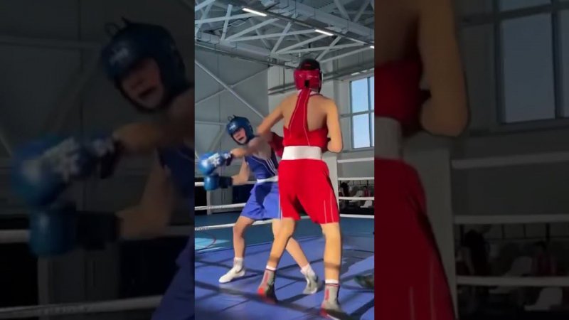 Сырцов vs Кашалников