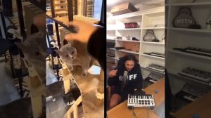 The Kiffness - Alugalug Cat (Soulful Singing Cat Live Looping Remix)