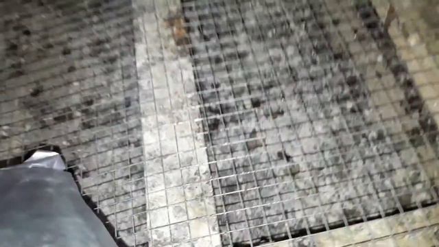 Сухая подстилка "Биодрай".Как она работает? смотреть онлайн