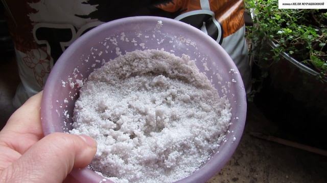 КАКОЙ ГРУНТ лучше всего ПОДХОДИТ для МУХОЛОВОК? смотреть онлайн