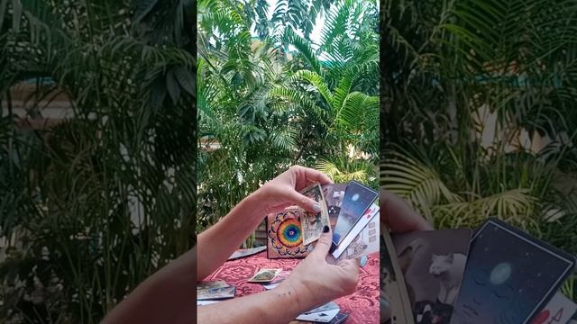 Как видят тебя высшие силы??? Какое будущее? ⁉️♥️