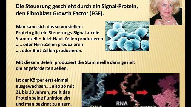 LAMININE die Formel fürs Leben смотреть онлайн