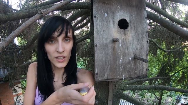 2019.06.15 Обезьяна капуцин Масяня и Даня. Спасаем птенца скворца.