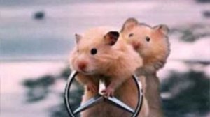 Нас не догонят!!!