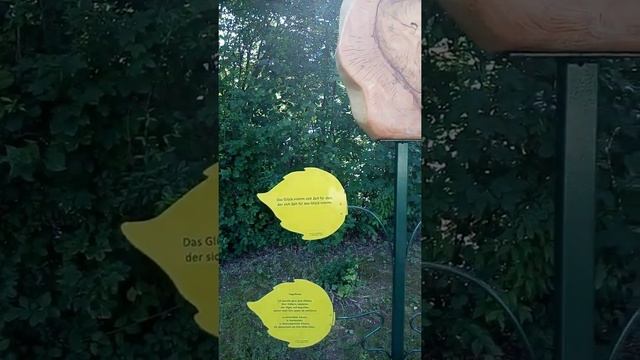 Красивый парк в г.Bad-Füssing 2020. Германия. Цветочный парк и курортная зона. смотреть онлайн