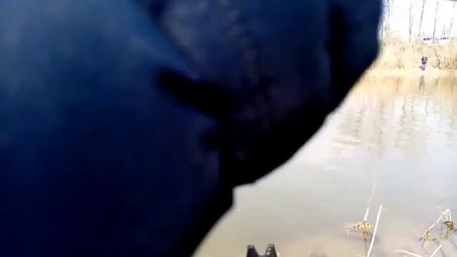 Ловля краснопёрки на дальний заброс