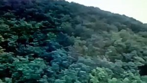 Посёлок Бетта отдых. Краснодарский край